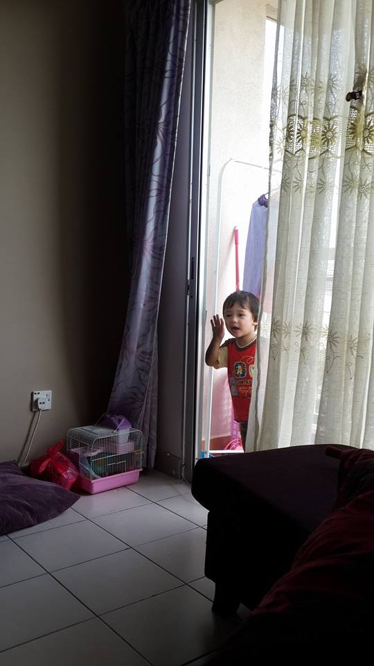 1380433_4972094319696_493382431_n